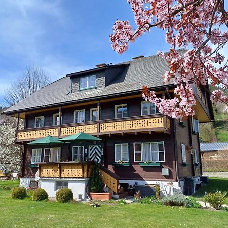 Appartement Steiner シュラートミンク エクステリア 写真
