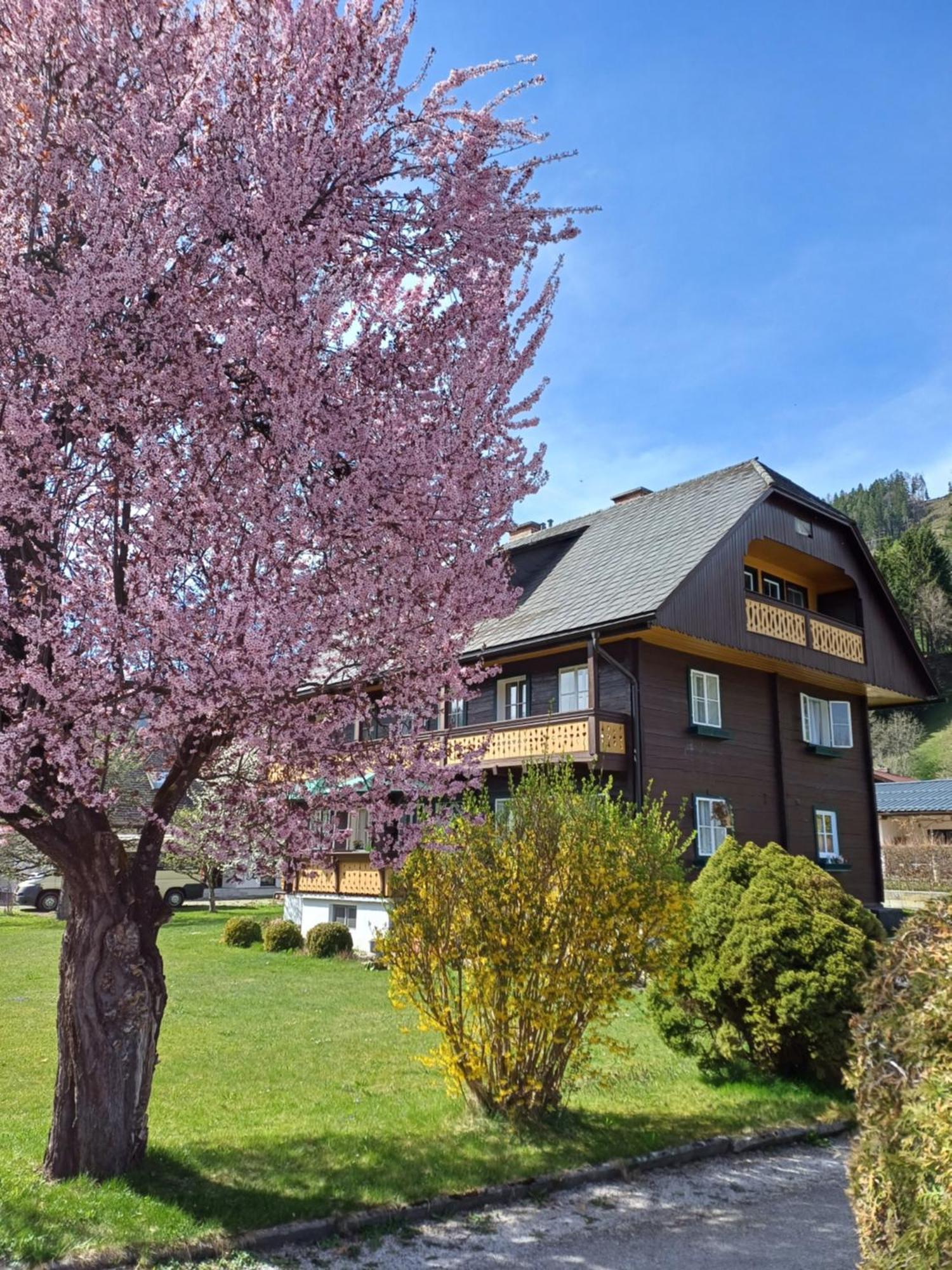Appartement Steiner シュラートミンク エクステリア 写真
