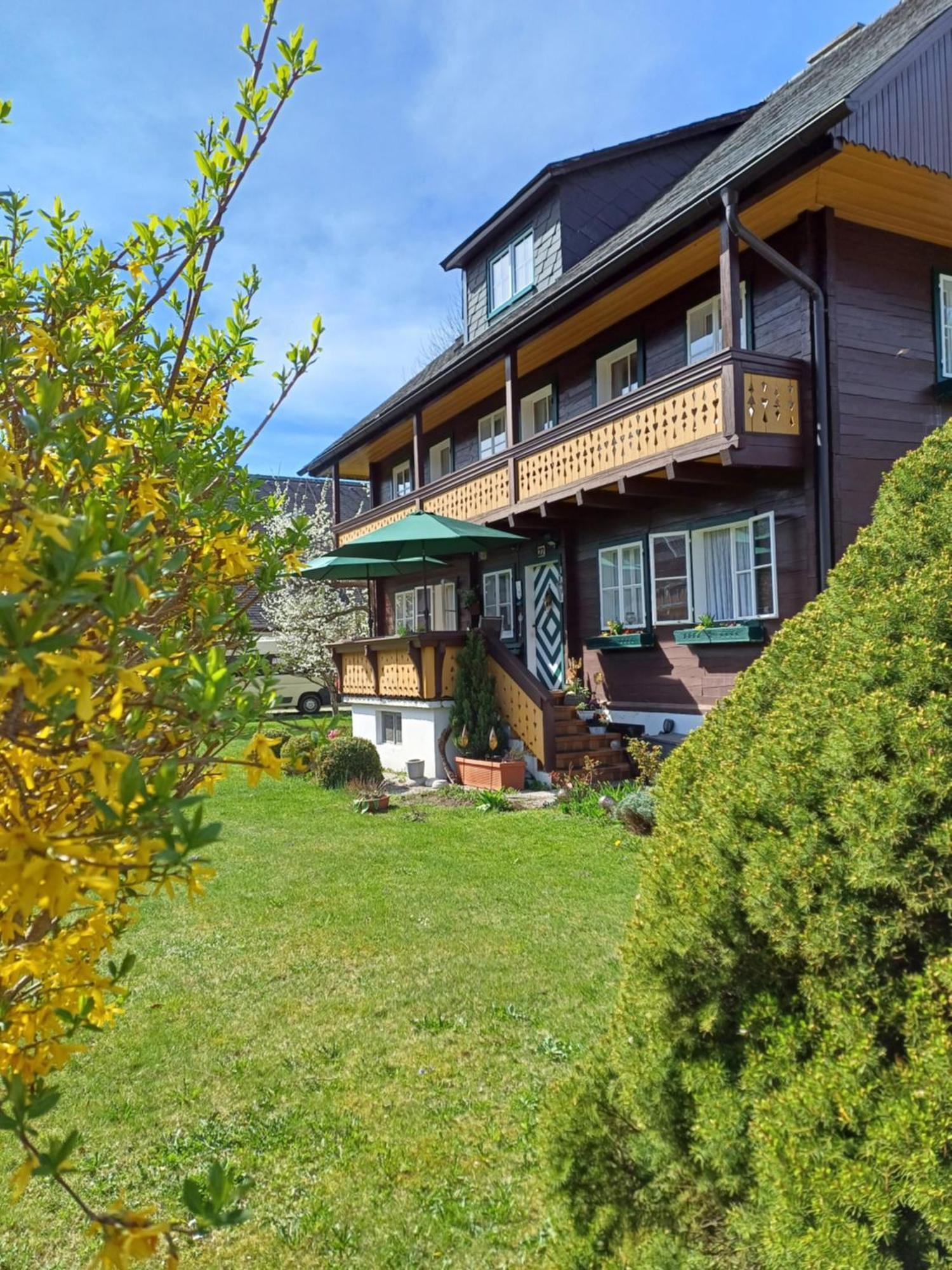 Appartement Steiner シュラートミンク エクステリア 写真